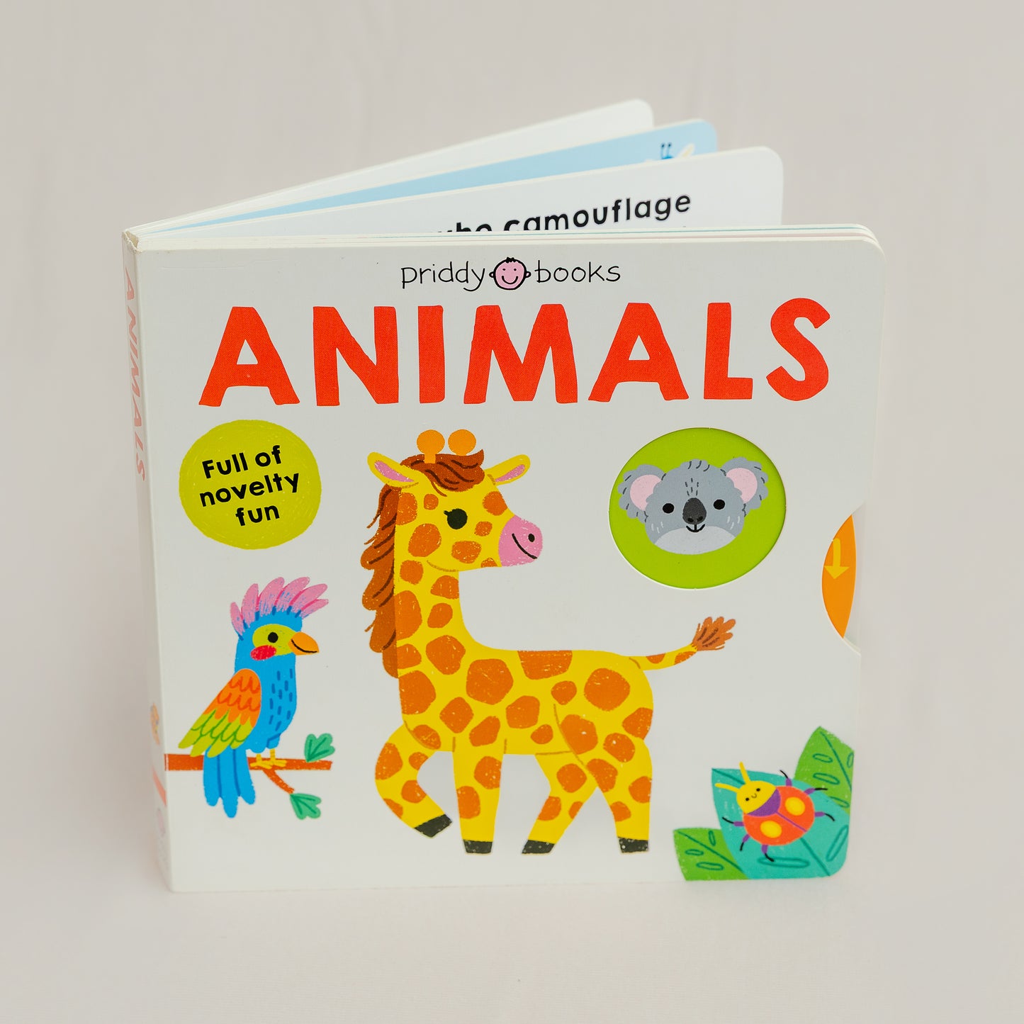 Animals My Little World Children's Book