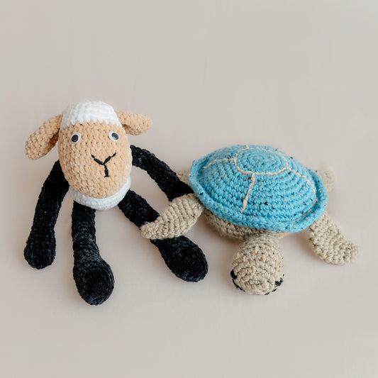 Shellabee the Tortoise