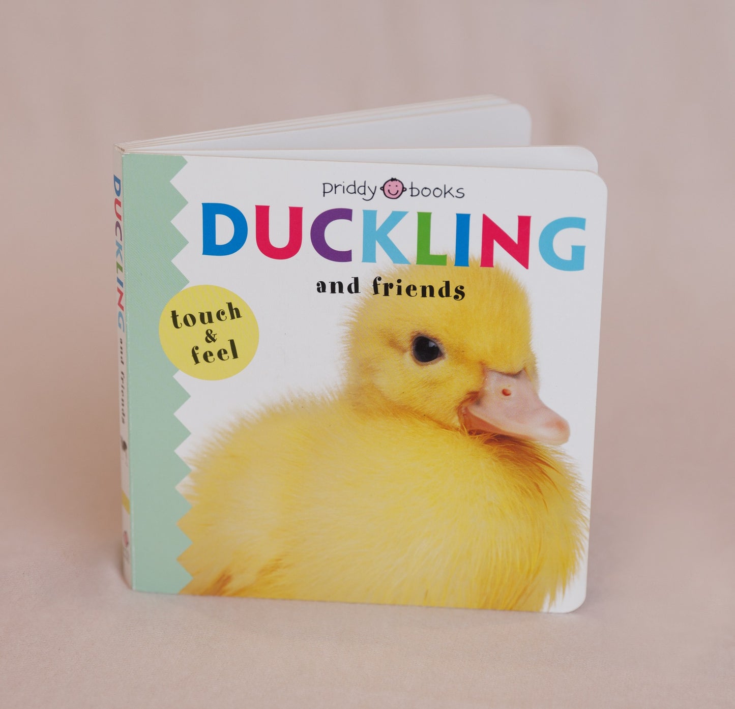 Ducklings And Friends Touch And Feel Children's Book