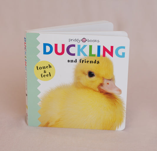 Ducklings And Friends Touch And Feel Children's Book