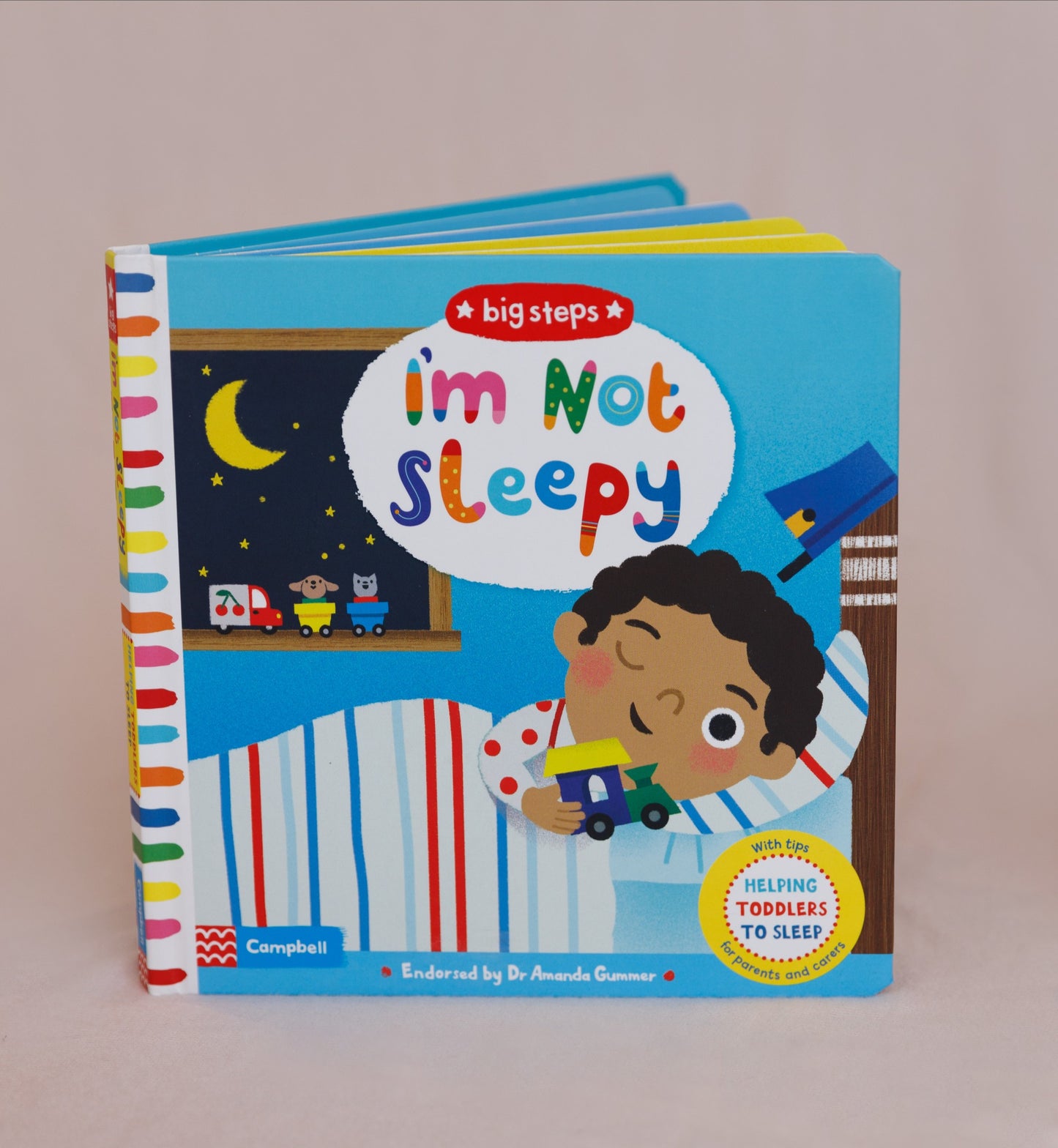 I'm Not Sleepy Children's Book