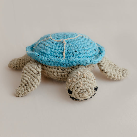 Shellabee the Tortoise