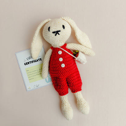 Hand-Crocheted Merino Bunny