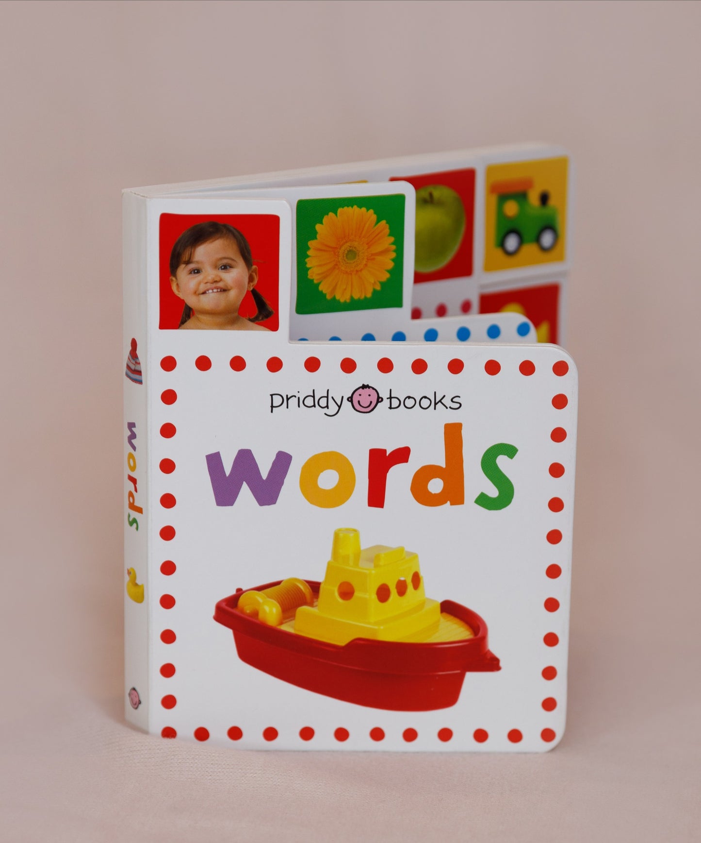 Words Mini Tab Children's Book